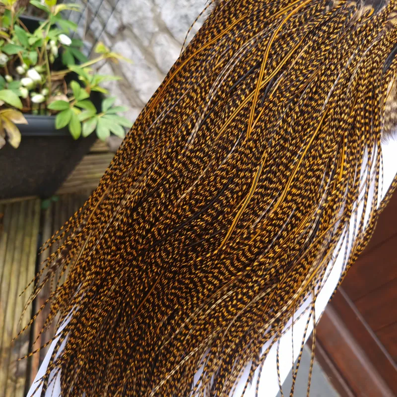 Whiting Pro-Grade Midge Rooster Saddle in Grizzly Dyed March Brown A Grizzly March Brown/ Lightly Splashed with Badger Dyed March Brown Approx Tying Sizes Few 14 and stuffed with 16/18/20/22 /24 and a few going smaller-4