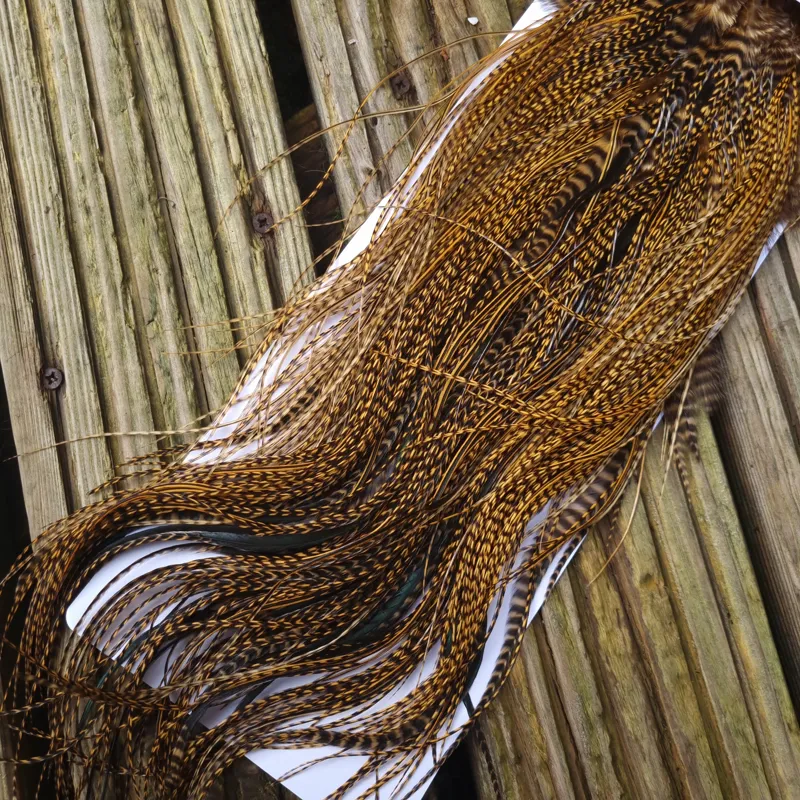 Whiting Pro-Grade Midge Rooster Saddle in Grizzly Dyed March Brown B Grizzly March Brown/Splashed with Badger March Brown Approx Tying Sizes  14 16 18 20 22 you might find a few smaller-5