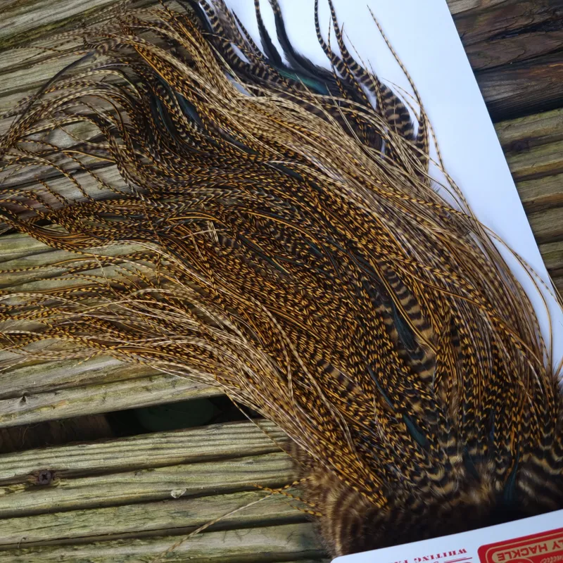 Whiting Pro-Grade Midge Rooster Saddle in Grizzly Dyed March Brown B Grizzly March Brown/Splashed with Badger March Brown Approx Tying Sizes  14 16 18 20 22 you might find a few smaller-2