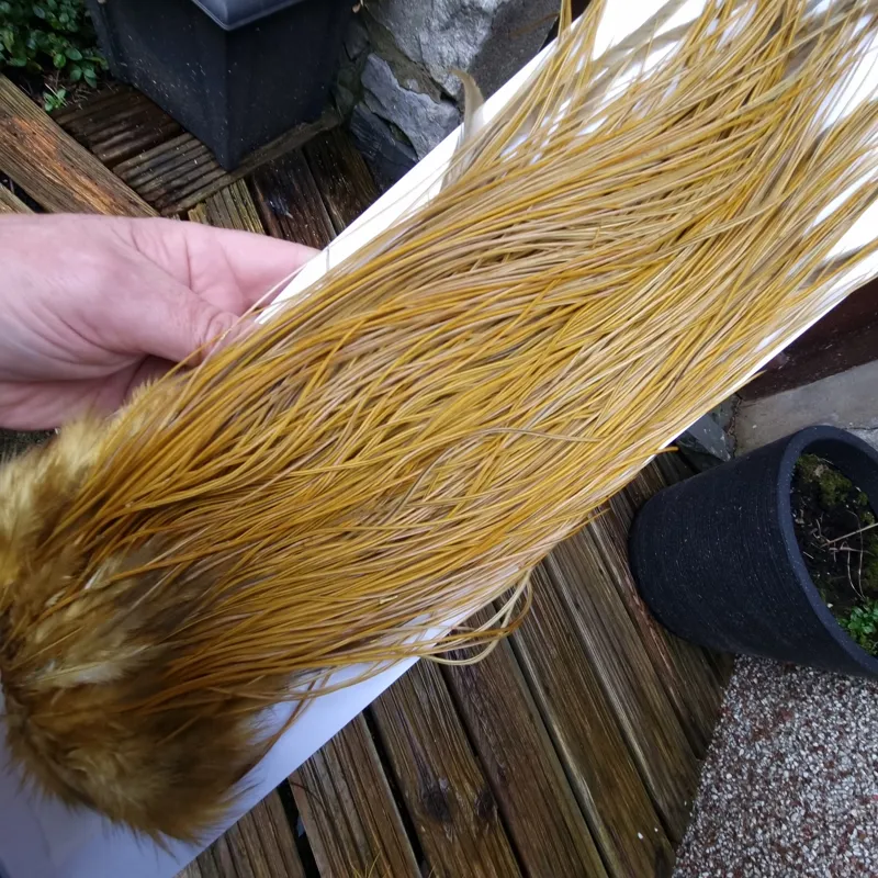 Whiting PRO-GRADE Dry Fly Rooster Saddle in White Dyed Golden Olive A Tying Approx 14/16/18/20 some going smaller-6