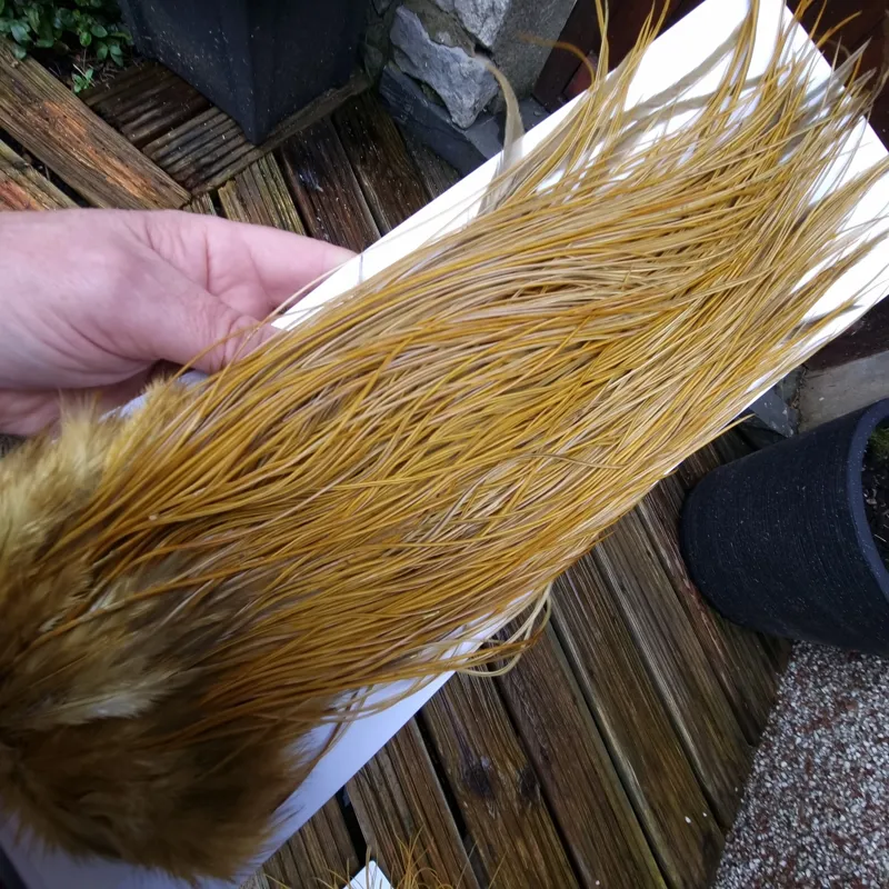 Whiting PRO-GRADE Dry Fly Rooster Saddle in White Dyed Golden Olive A Tying Approx 14/16/18/20 some going smaller-9