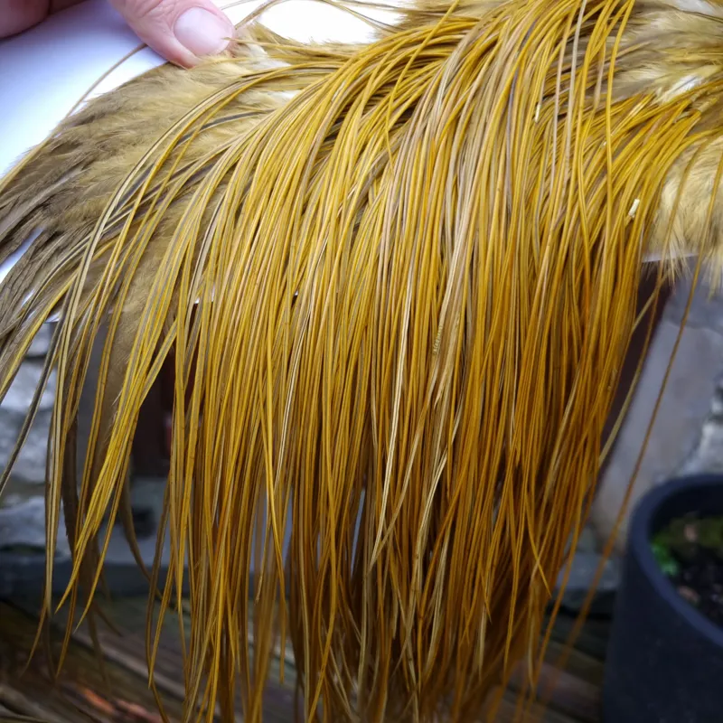 Whiting PRO-GRADE Dry Fly Rooster Saddle in White Dyed Golden Olive A Tying Approx 14/16/18/20 some going smaller-7