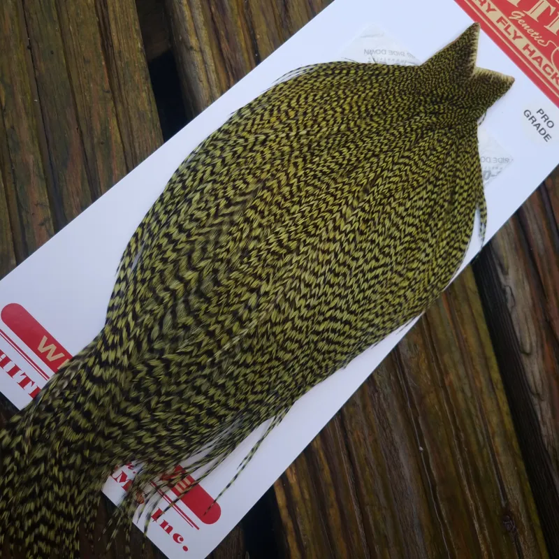 Whiting Pro-Grade Dry Fly Rooster Cape in Grizzly Dyed Oliver C