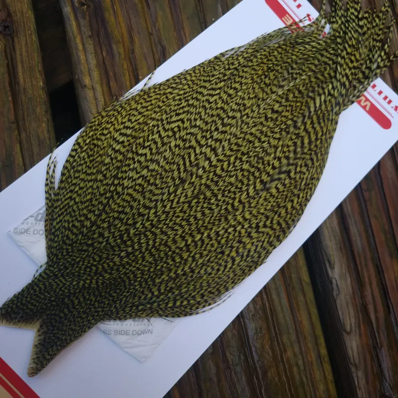 Whiting Pro-Grade Dry Fly Rooster Cape in Grizzly Dyed Oliver C-1