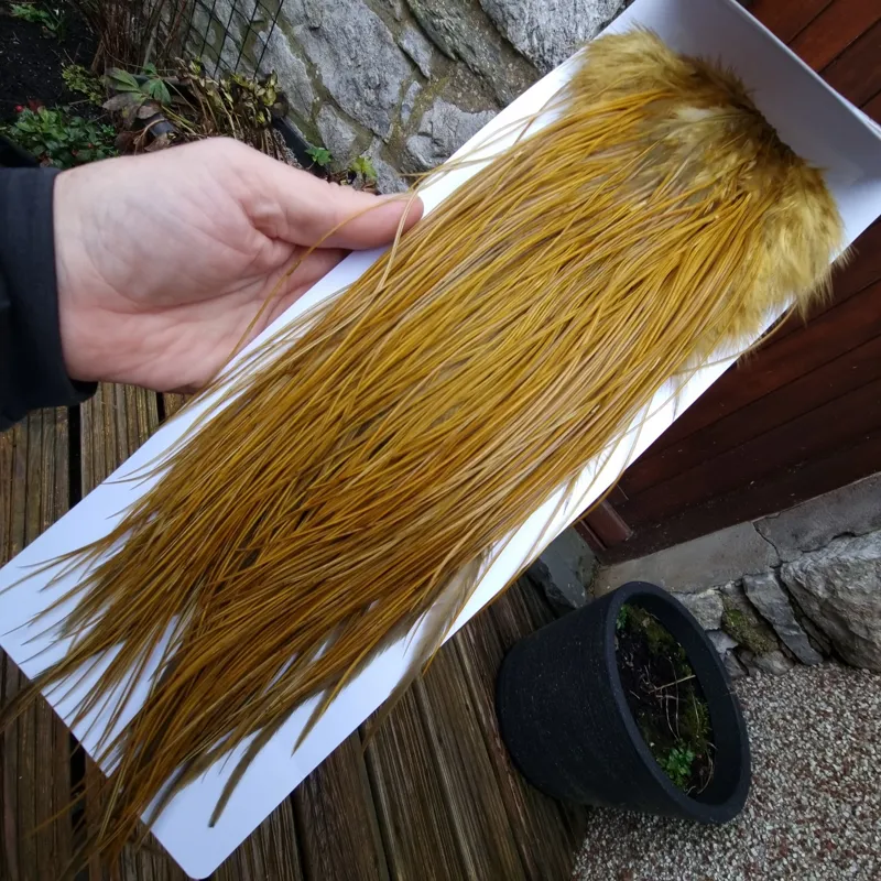 Whiting PRO-GRADE Dry Fly Rooster Saddle in White Dyed Golden Olive A Tying Approx 14/16/18/20 some going smaller-8