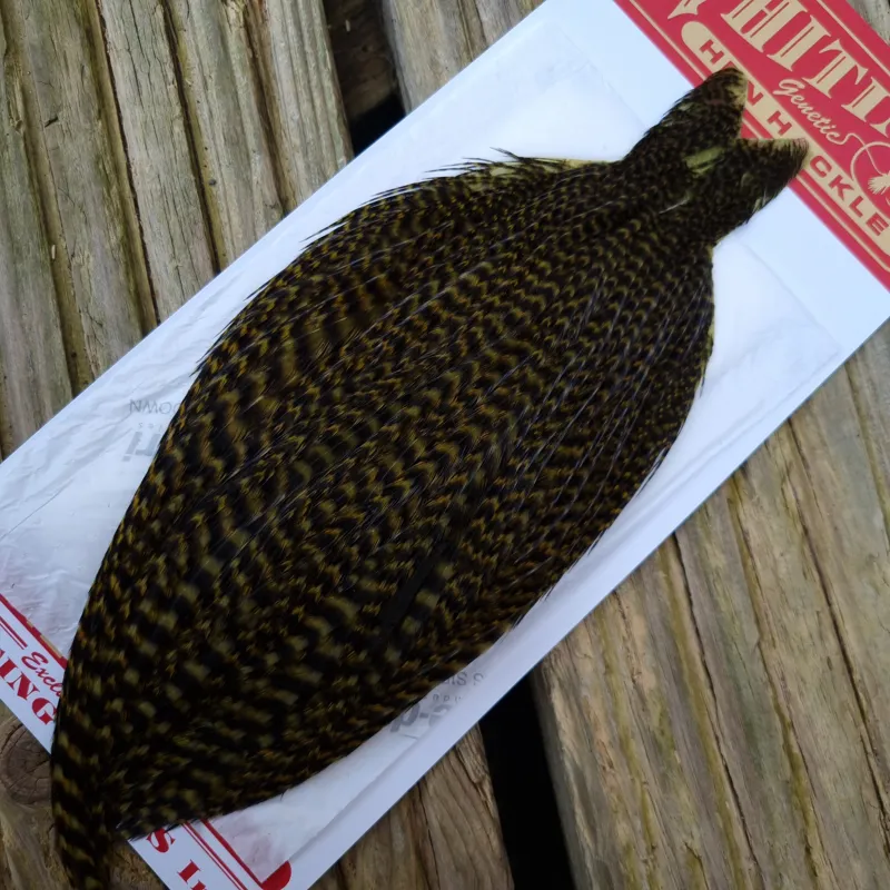 Whiting Hen Cape in Grizzly Dyed Olive A