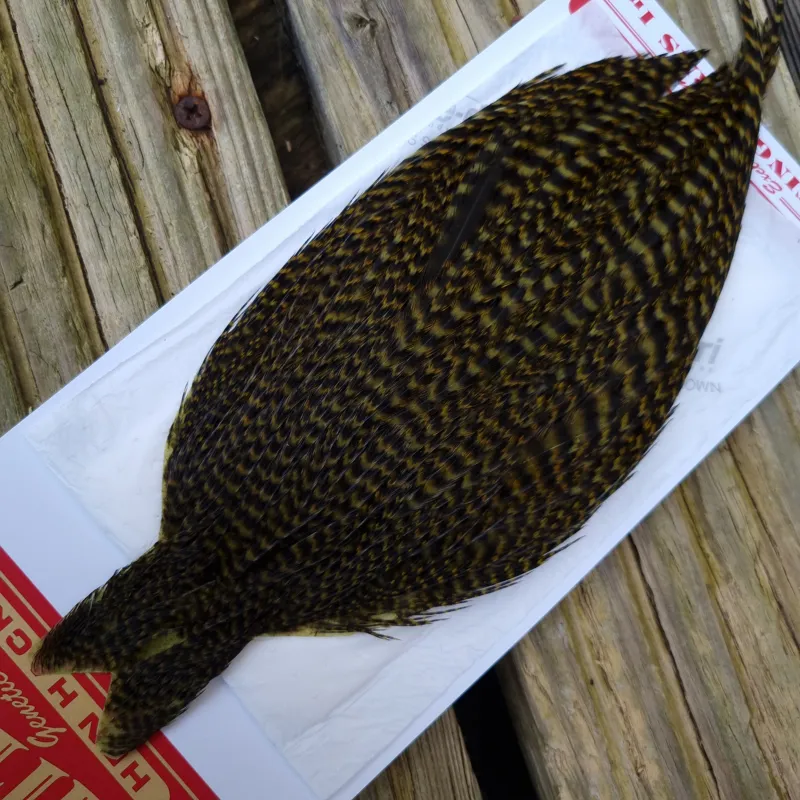 Whiting Hen Cape in Grizzly Dyed Olive A-1