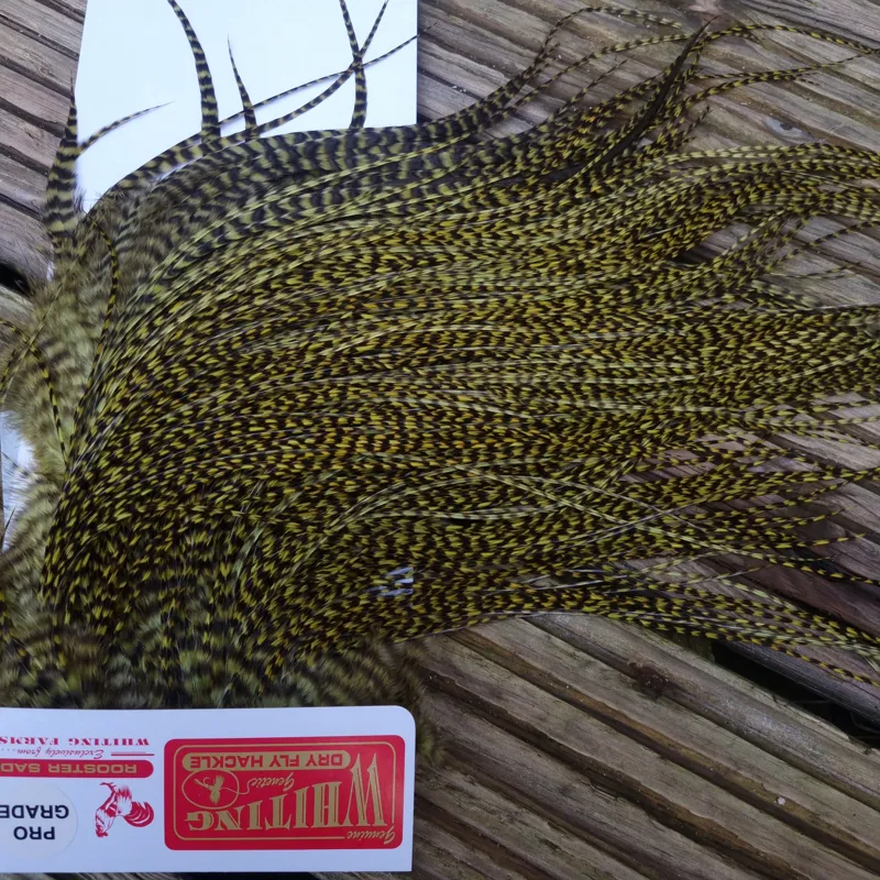 Whiting Pro-Grade Midge Rooster Saddle in Grizzly Dyed Olive B Approx tying size 14/16/18 and the odd one going smaller-1