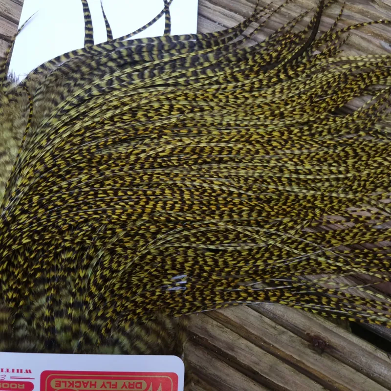 Whiting Pro-Grade Midge Rooster Saddle in Grizzly Dyed Olive B Approx tying size 14/16/18 and the odd one going smaller-4