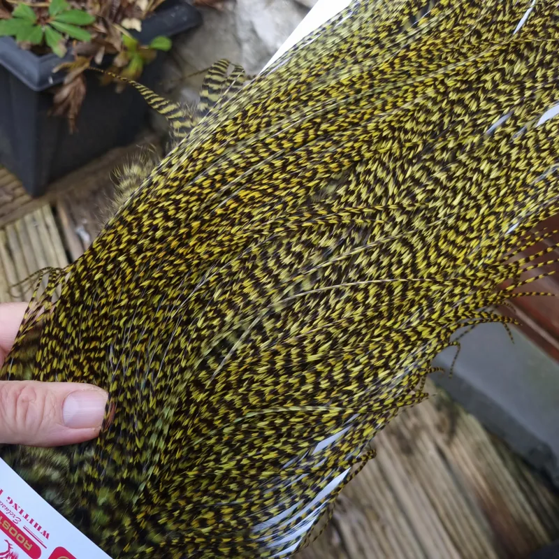 Whiting Pro-Grade Midge Rooster Saddle in Grizzly Dyed Olive B Approx tying size 14/16/18 and the odd one going smaller-5