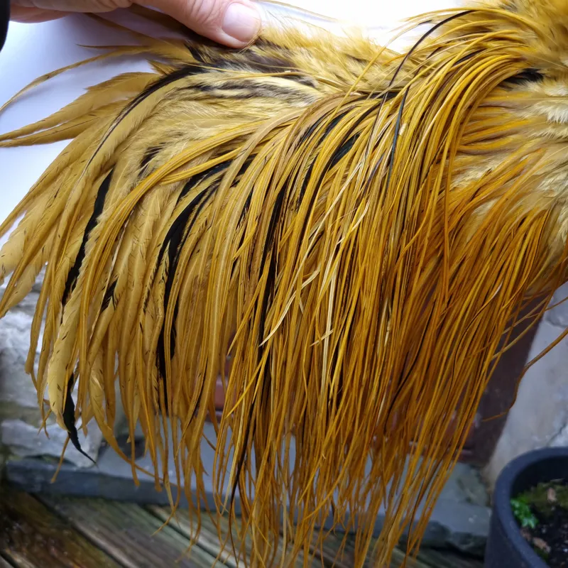 Whiting PRO-GRADE Dry Fly Rooster Saddle in White Dyed Golden Olive B Tying Approx 14/16/18-3