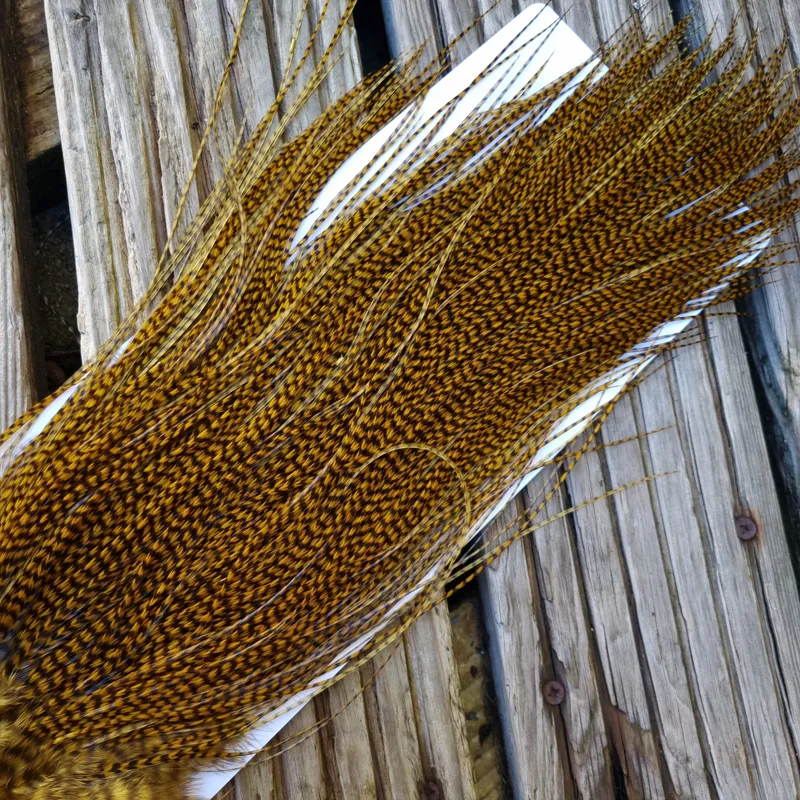 Whiting Pro-Grade Midge Rooster Saddle in Grizzly Golden Olive C Approx Tying Size 14 16 18 AND A FEW SMALLER-7