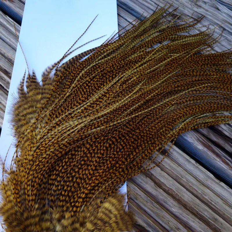 Whiting Pro-Grade Midge Rooster Saddle in Grizzly Golden Olive C Approx Tying Size 14 16 18 AND A FEW SMALLER-8