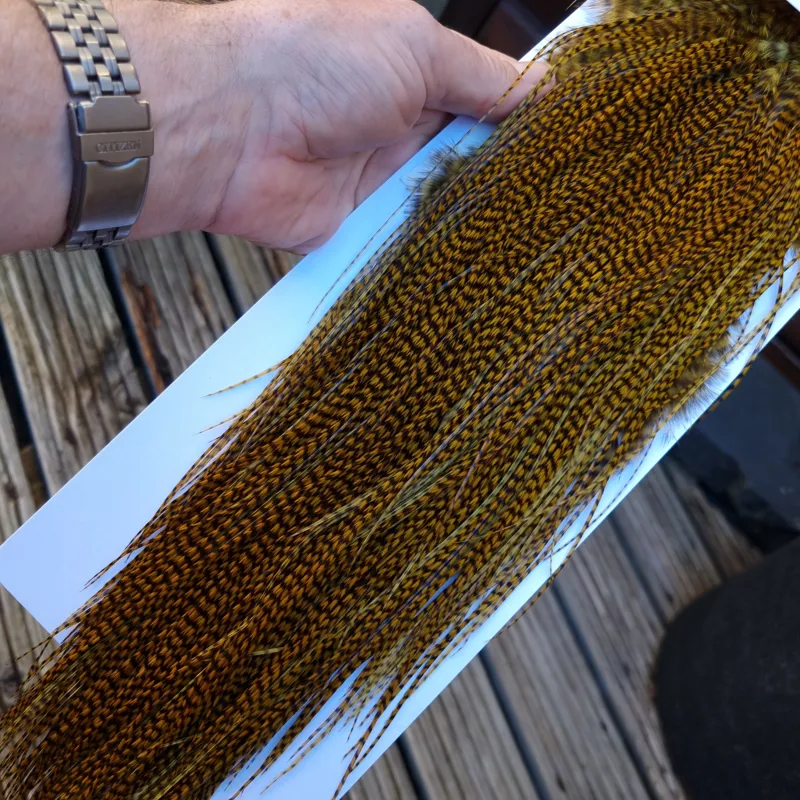 Whiting Pro-Grade Midge Rooster Saddle in Grizzly Golden Olive C Approx Tying Size 14 16 18 AND A FEW SMALLER-9