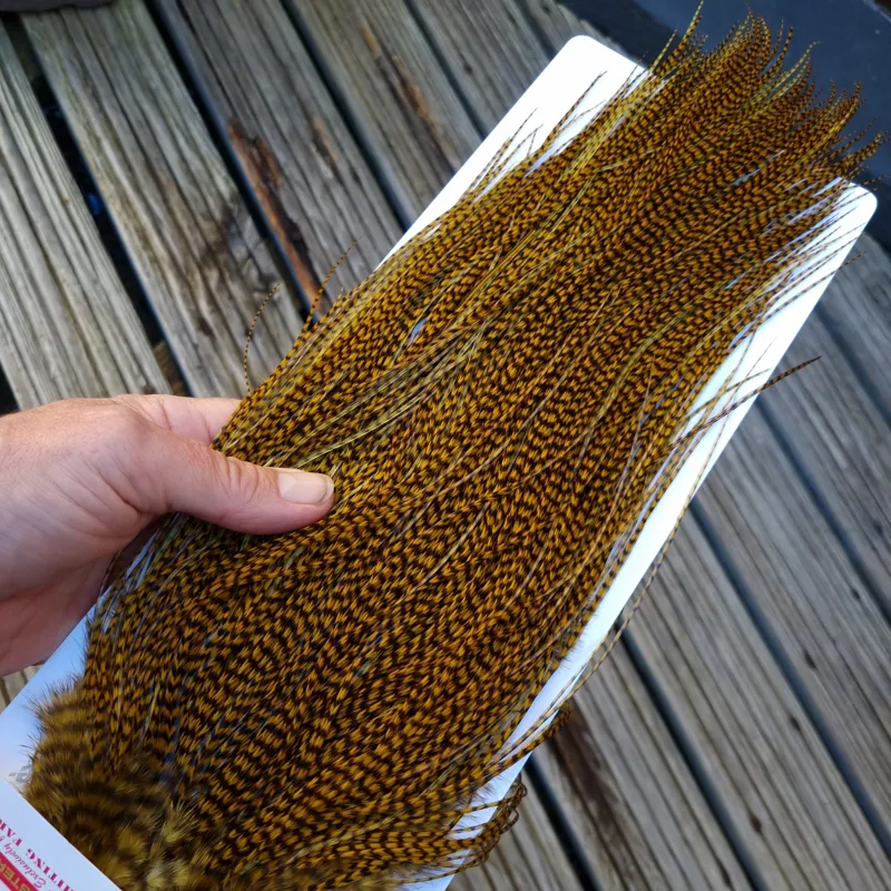 Whiting Pro-Grade Midge Rooster Saddle in Grizzly Golden Olive C Approx Tying Size 14 16 18 AND A FEW SMALLER-1