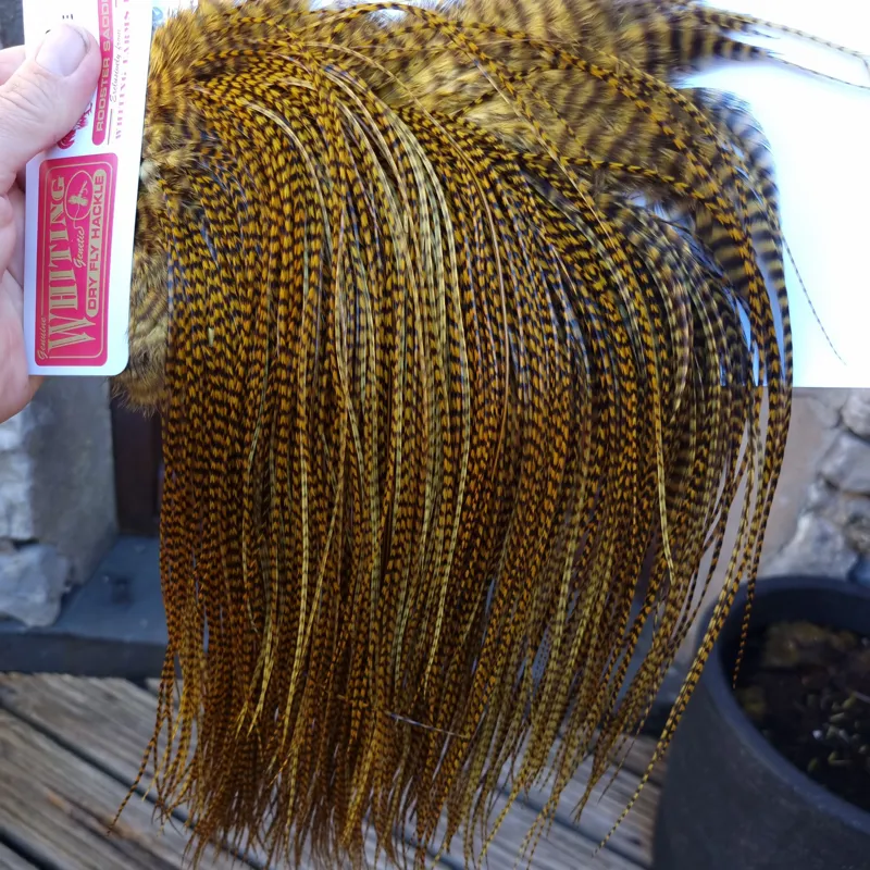 Whiting Pro-Grade Midge Rooster Saddle in Grizzly Golden Olive C Approx Tying Size 14 16 18 AND A FEW SMALLER-2