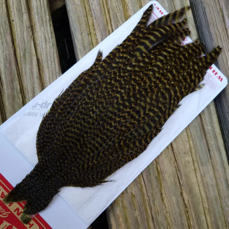 Whiting Hen Cape in Grizzly Dyed Olive C