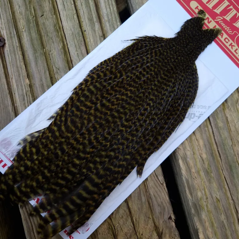 Whiting Hen Cape in Grizzly Dyed Olive C-1