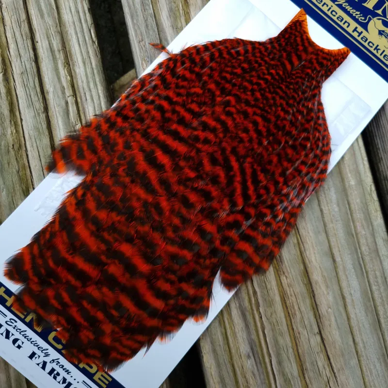 Whiting American Hen Cape in Grizzly Dyed Orange