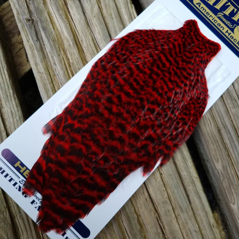 Whiting American Hen Cape in Grizzly Dyed Red