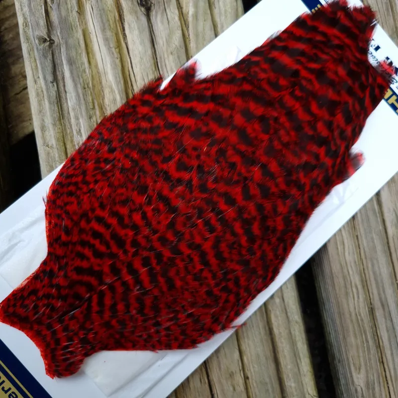 Whiting American Hen Cape in Grizzly Dyed Red-1