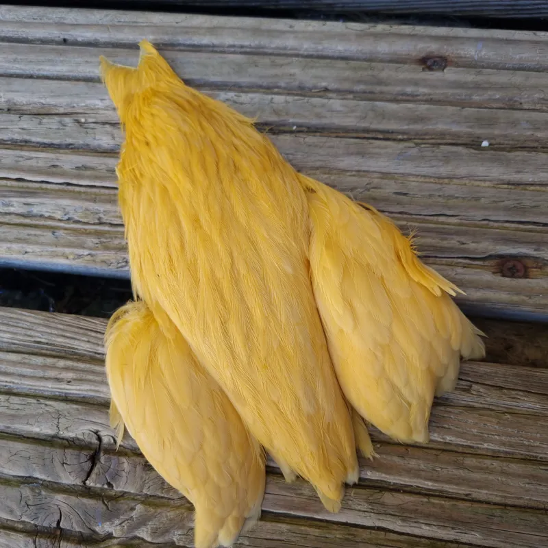 Whiting Exclusive WET Fly Hen Cape in Golden Straw-12