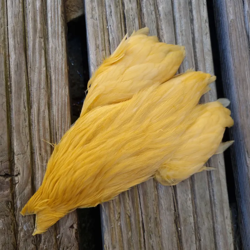 Whiting Exclusive WET Fly Hen Cape in Golden Straw-4