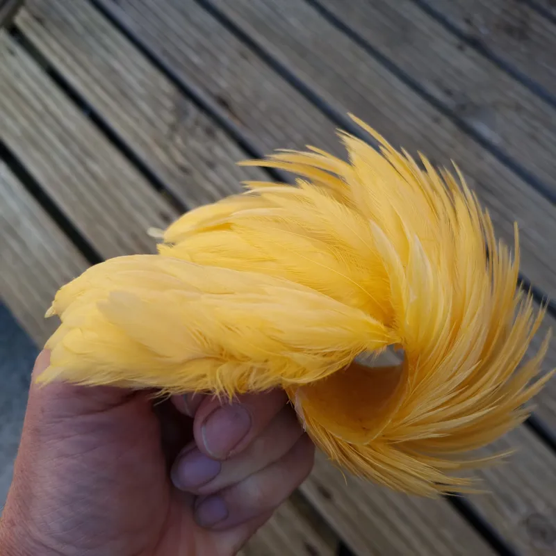 Whiting Exclusive WET Fly Hen Cape in Golden Straw-1