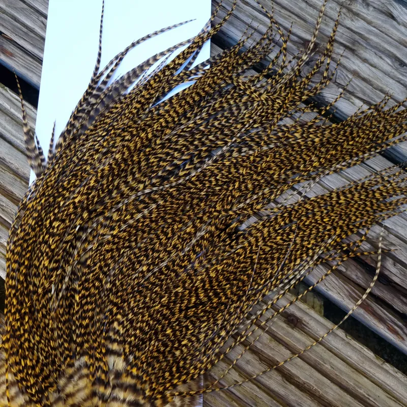 Whiting Pro-Grade Midge Rooster Saddle in Grizzly Golden Straw A Approx Tying Sizes Few 12's and stuffed with 14/16 with the odd one going smaller-5