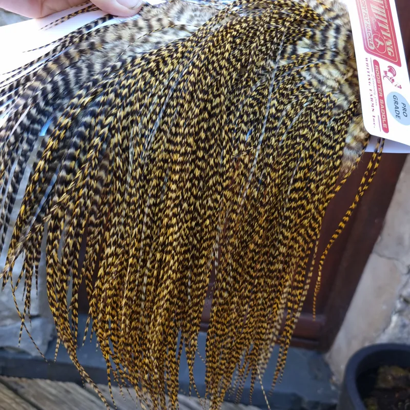 Whiting Pro-Grade Midge Rooster Saddle in Grizzly Golden Straw A Approx Tying Sizes Few 12's and stuffed with 14/16 with the odd one going smaller-3