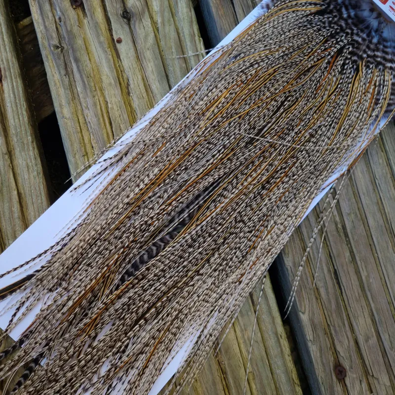 Whiting Pro-Grade Midge Rooster Saddle in Grizzly Variant A in Light GRIZZLY Splashed with Golden Badger Approx Tying Sizes 16/18/20/22/24 and out of sight-4