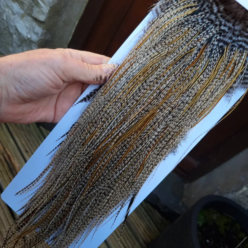 Whiting Pro-Grade Midge Rooster Saddle in Grizzly Variant A in Light GRIZZLY Splashed with Golden Badger Approx Tying Sizes 16/18/20/22/24 and out of sight-6