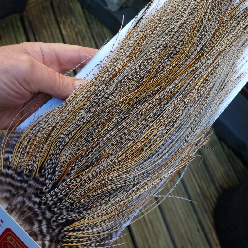 Whiting Pro-Grade Midge Rooster Saddle in Grizzly Variant A in Light GRIZZLY Splashed with Golden Badger Approx Tying Sizes 16/18/20/22/24 and out of sight-3