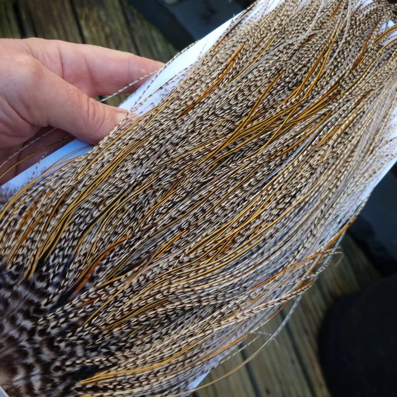 Whiting Pro-Grade Midge Rooster Saddle in Grizzly Variant A in Light GRIZZLY Splashed with Golden Badger Approx Tying Sizes 16/18/20/22/24 and out of sight-1