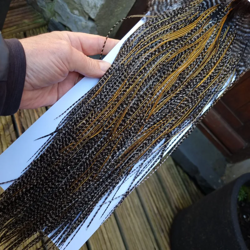 Whiting Pro-Grade Midge Rooster Saddle in Grizzly Variant B Dark Grizzly/ Deep Rich Golden Badger Approx Tying Sizes 16/18/20/22 -3