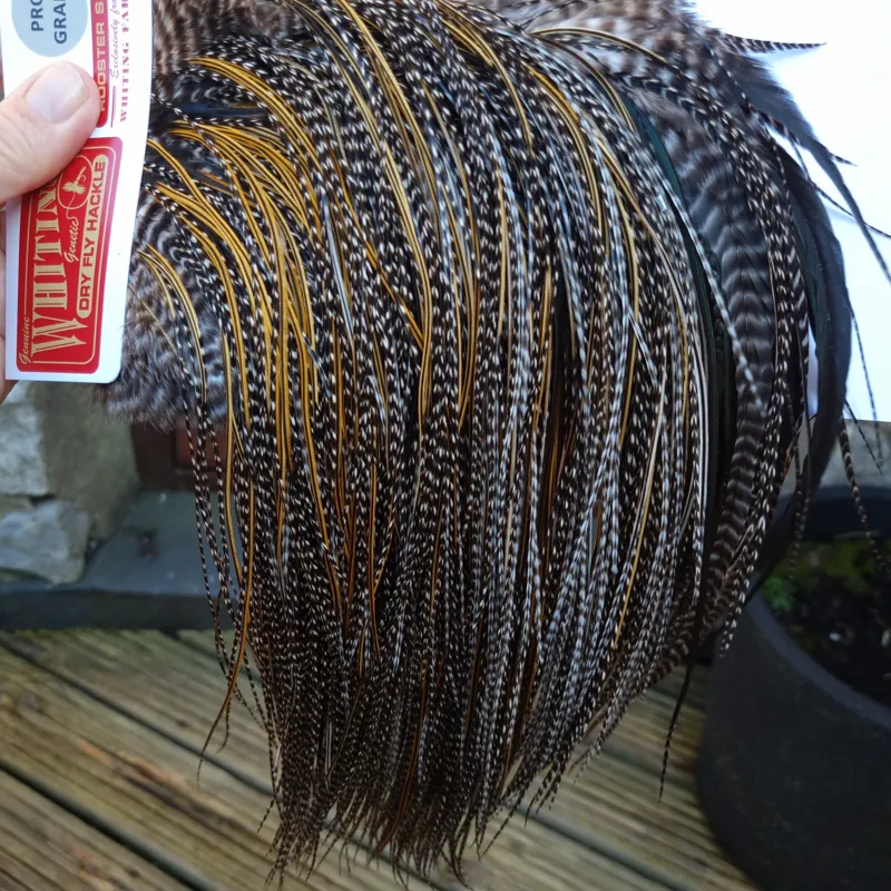 Whiting Pro-Grade Midge Rooster Saddle in Grizzly Variant B Dark Grizzly/ Deep Rich Golden Badger Approx Tying Sizes 16/18/20/22 -4