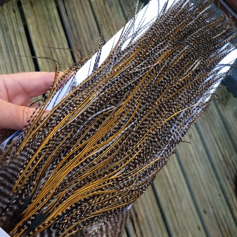 Whiting Pro-Grade Midge Rooster Saddle in Grizzly Variant B Dark Grizzly/ Deep Rich Golden Badger Approx Tying Sizes 16/18/20/22 -5