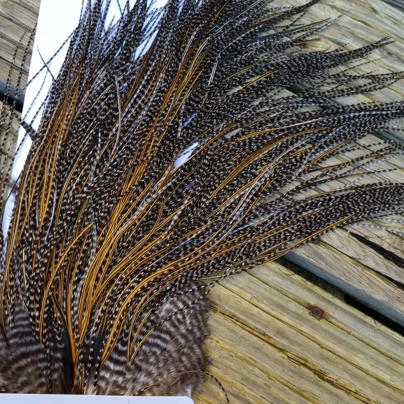 Whiting Pro-Grade Midge Rooster Saddle in Grizzly Variant B Dark Grizzly/ Deep Rich Golden Badger Approx Tying Sizes 16/18/20/22 -7