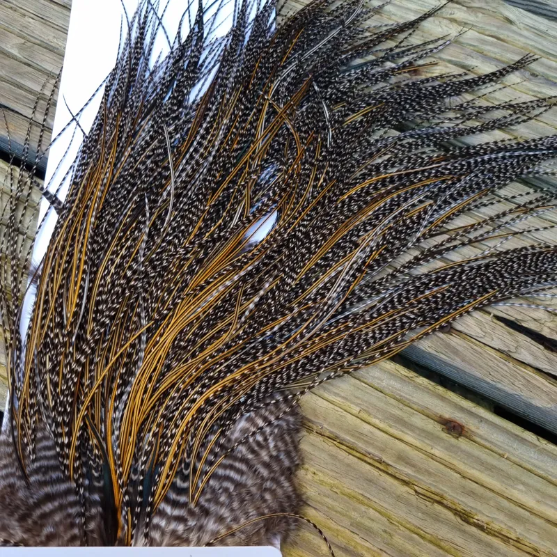 Whiting Pro-Grade Midge Rooster Saddle in Grizzly Variant B Dark Grizzly/ Deep Rich Golden Badger Approx Tying Sizes 16/18/20/22 -9