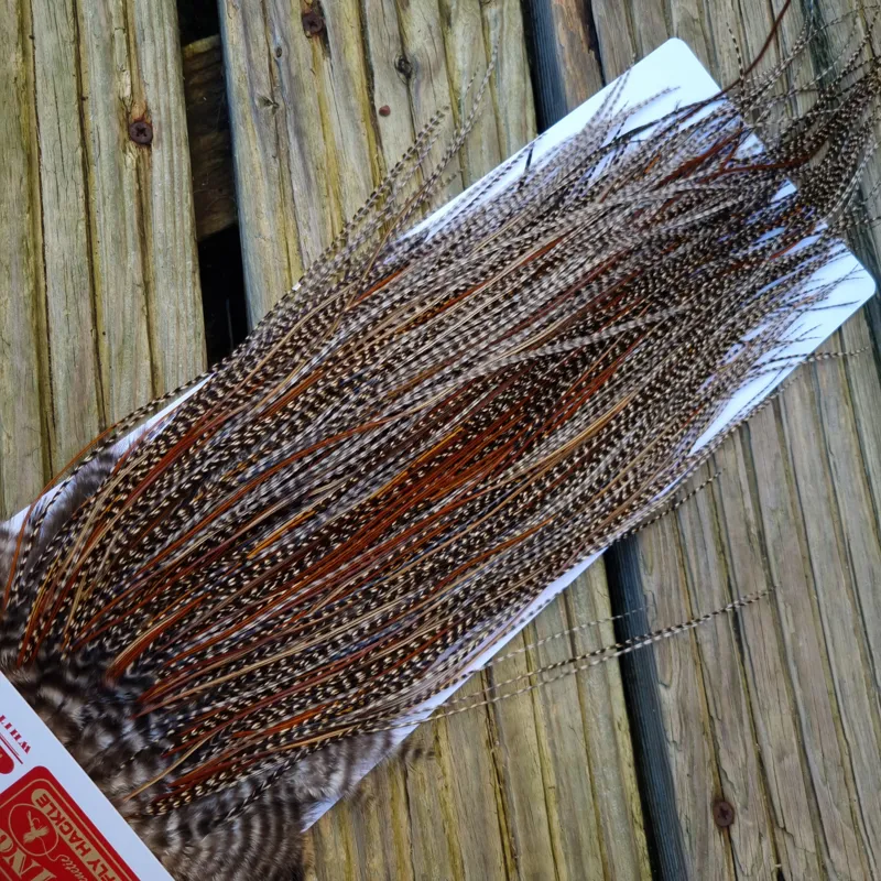 Whiting Pro-Grade Midge Rooster Saddle in Grizzly Variant C Dark Grizzly Lightly Splashed with Furnace Hackles Approx Tying Sizes  Few 14 and stuffed with16/18/20 and a few going smaller-7