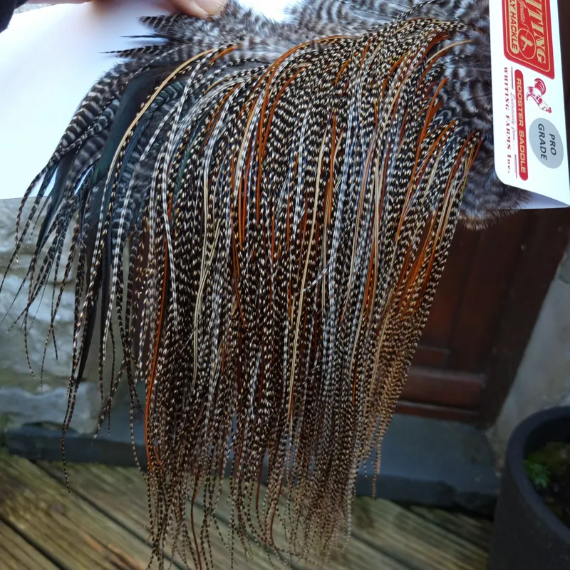 Whiting Pro-Grade Midge Rooster Saddle in Grizzly Variant C Dark Grizzly Lightly Splashed with Furnace Hackles Approx Tying Sizes  Few 14 and stuffed with16/18/20 and a few going smaller