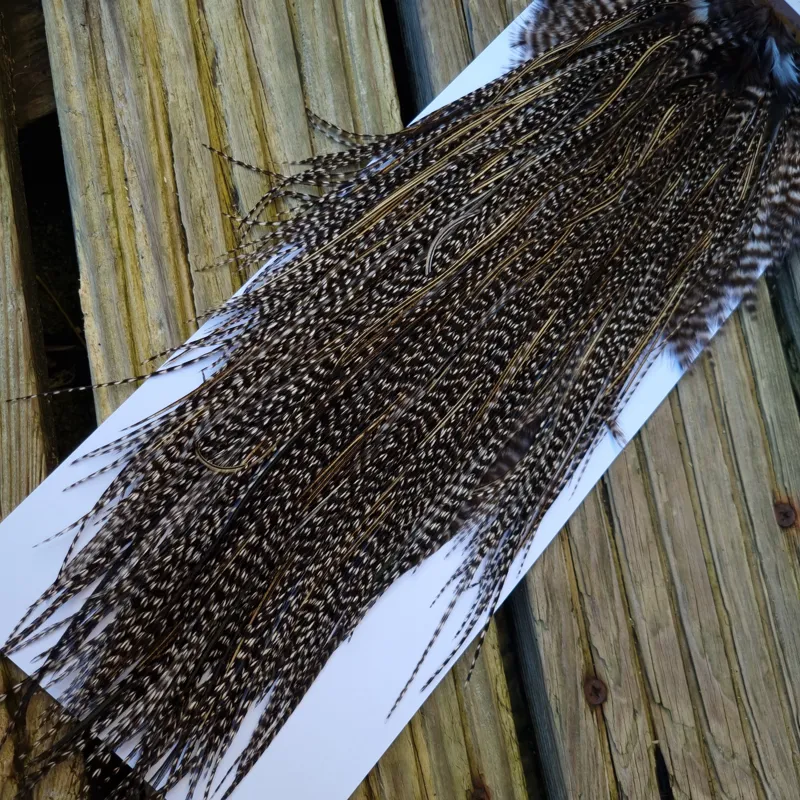 Whiting Pro-Grade Midge Rooster Saddle in Grizzly Variant D Dark Grizzly Splashed with Silver Badger/Speckled Silver Badger Approx Tying size 14 16 18-4