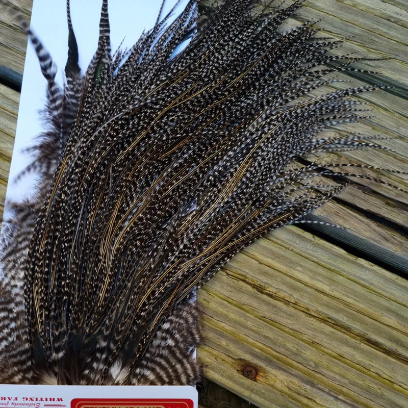 Whiting Pro-Grade Midge Rooster Saddle in Grizzly Variant D Dark Grizzly Splashed with Silver Badger/Speckled Silver Badger Approx Tying size 14 16 18-5