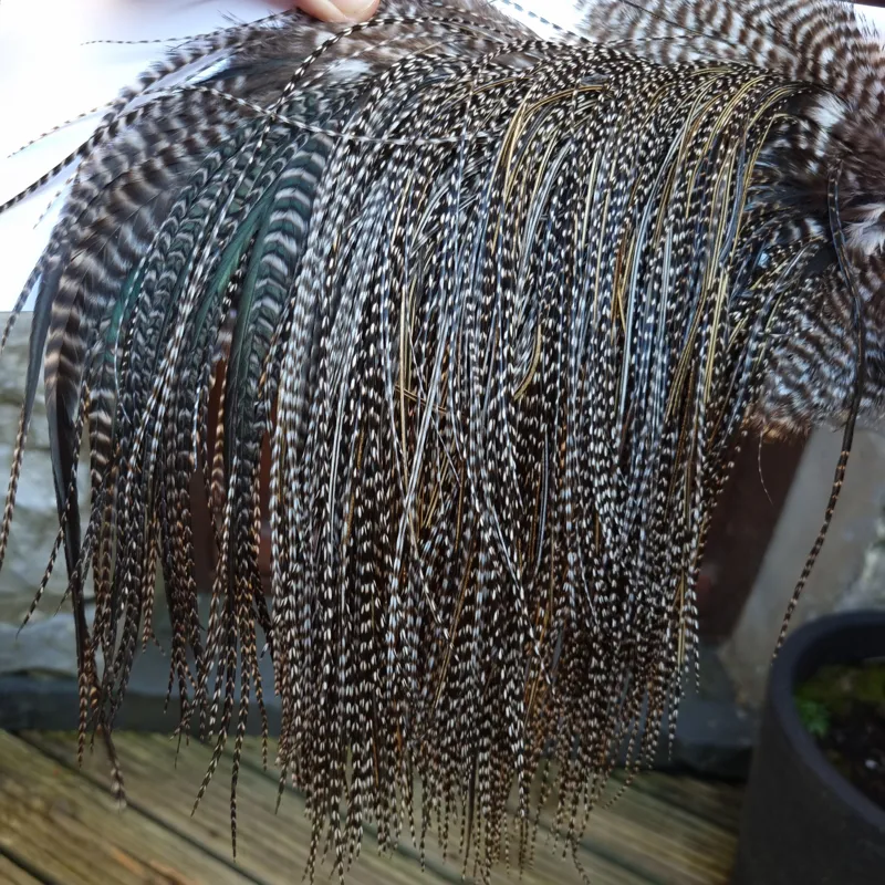 Whiting Pro-Grade Midge Rooster Saddle in Grizzly Variant D Dark Grizzly Splashed with Silver Badger/Speckled Silver Badger Approx Tying size 14 16 18