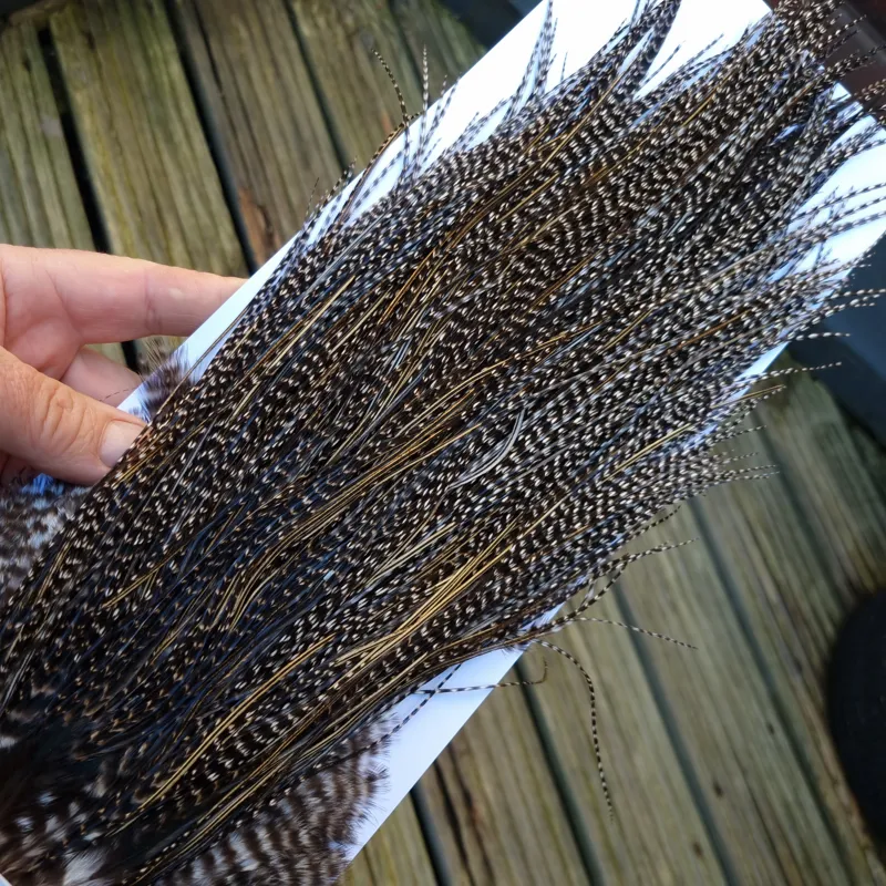 Whiting Pro-Grade Midge Rooster Saddle in Grizzly Variant D Dark Grizzly Splashed with Silver Badger/Speckled Silver Badger Approx Tying size 14 16 18-1