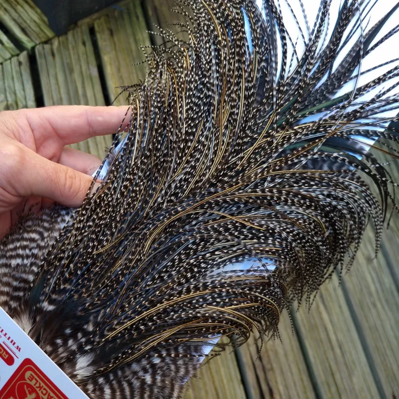 Whiting Pro-Grade Midge Rooster Saddle in Grizzly Variant D Dark Grizzly Splashed with Silver Badger/Speckled Silver Badger Approx Tying size 14 16 18-2