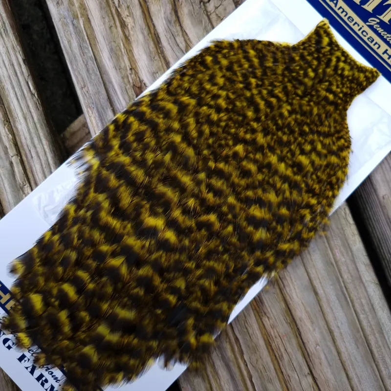 Whiting American Hen Cape in Grizzly Dyed Yellow-1