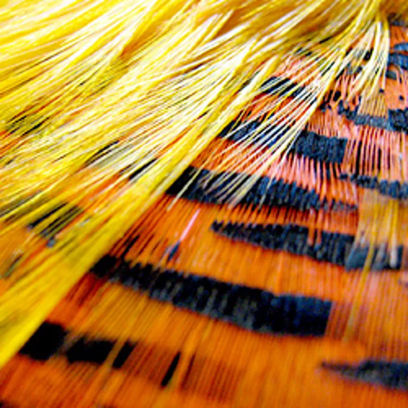 Grade No.2 Golden Pheasant Head Grade