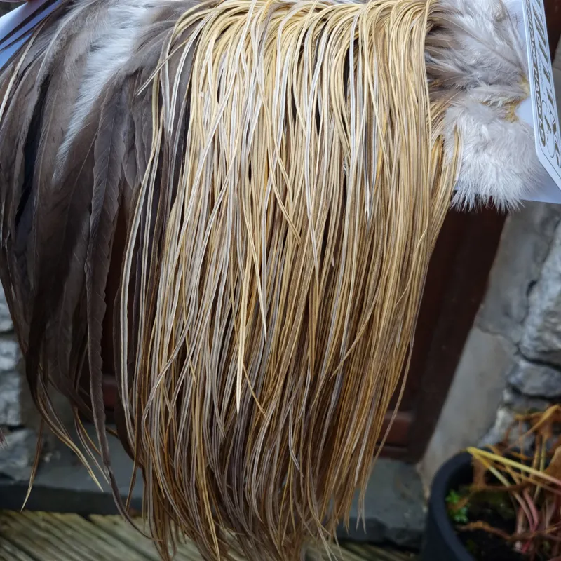 Whiting Heritage Hackles Rooster Saddle in Mixed Colours H Light/Medium and Dark Champagne Badger Tying Approx 12/14/16      -7