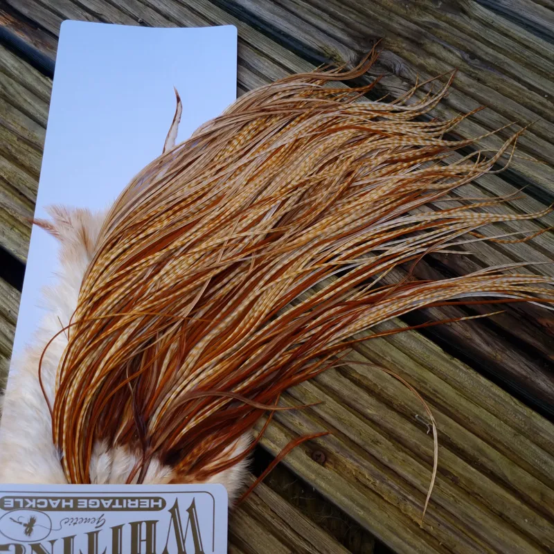 Whiting Heritage Hackles Rooster Saddle in Mixed Colours C Barred Medium Ginger/Medium Ginger/Dark Ginger Tying Approx 12/14/16/18-3